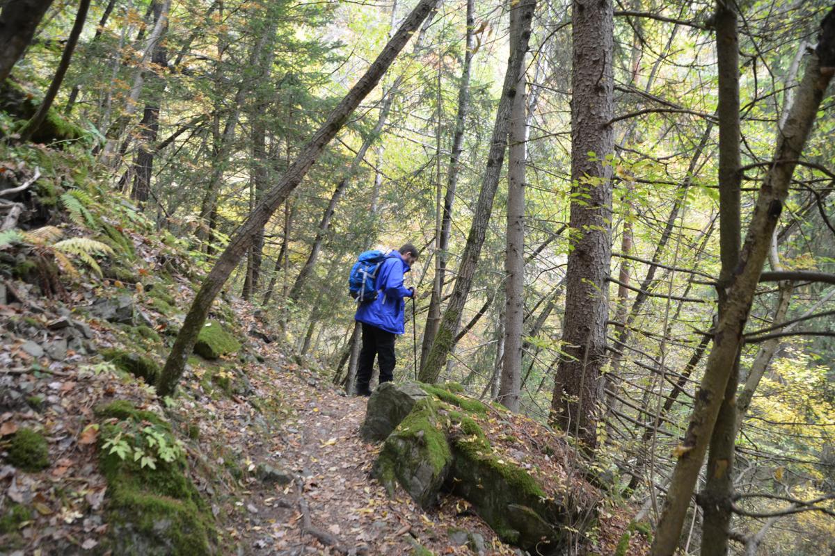 Zunerhof 17.10.2018